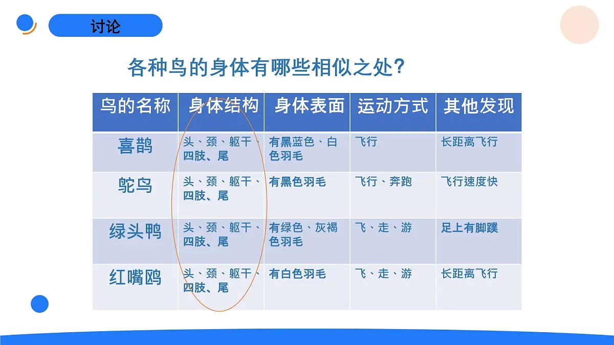 2025年秋人教鄂教版四年级科学上册 1.鸟和哺乳动物（课件）第6页