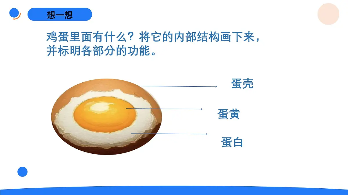 2025年秋人教鄂教版四年级科学上册 6.动物的繁殖（课件）第4页