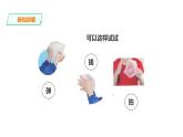 2025年秋人教鄂教版四年級科學(xué)上冊 13.聲音的產(chǎn)生（課件）