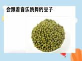 2025年秋人教鄂教版四年級科學(xué)上冊 15.聲音的變化（課件）02