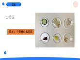 2025年秋人教鄂教版三年級科學(xué)上冊 2.食物的營養(yǎng)（課件）