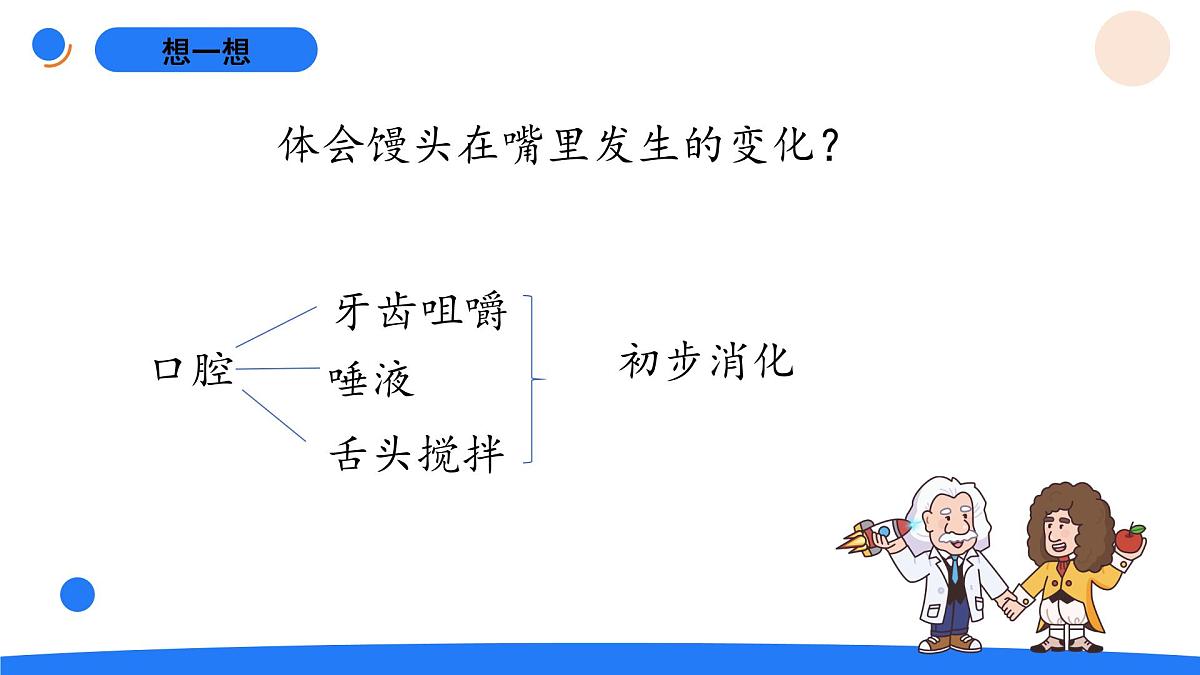 2025年秋人教鄂教版三年级科学上册 3.食物的消化（课件）第3页