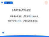 2025年秋人教鄂教版三年級(jí)科學(xué)上冊(cè) 3.食物的消化（課件）