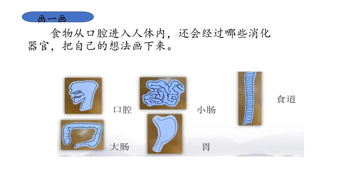 2025年秋人教鄂教版三年级科学上册 3.食物的消化（课件）第6页