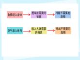 2025年秋人教鄂教版三年級科學(xué)上冊 12.呼吸與空氣（課件）