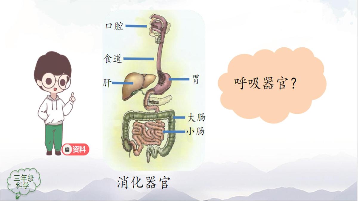 2025年秋人教鄂教版三年级科学上册 13.呼吸器官（课件）第3页