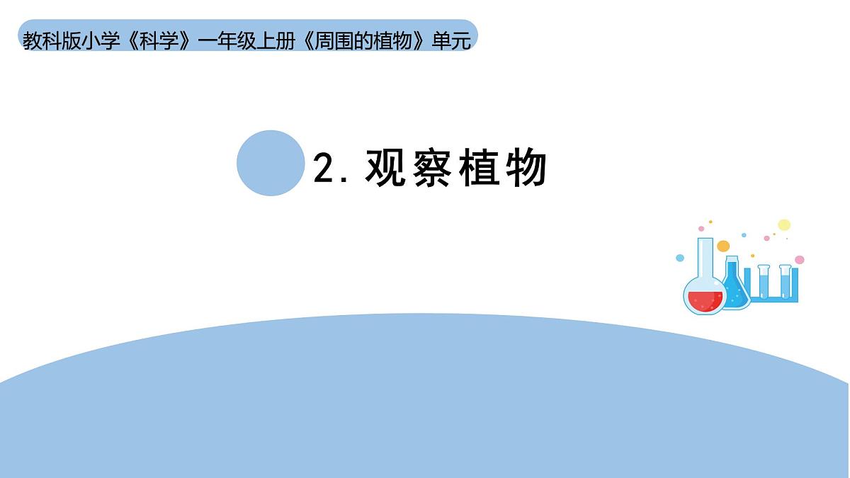 2025年秋教科版一年级科学上册1-2《观察植物》（课件）第1页