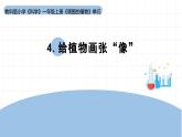 2025年秋教科版一年級科學上冊1-4《給植物畫張“像”》（課件）01