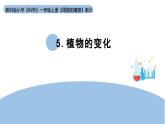2025年秋教科版一年級科學(xué)上冊1-5 《植物的變化》（課件）