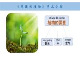 2025年秋教科版一年級(jí)科學(xué)上冊(cè)1-7《周圍的植物》單元小結(jié)和科學(xué)閱讀（課件）