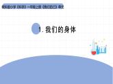 2025年秋教科版一年級科學(xué)上冊2-1《我們的身體》（課件）