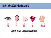 2025年秋教科版一年級科學(xué)上冊2-1《我們的身體》（課件）