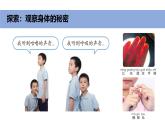 2025年秋教科版一年級科學(xué)上冊2-1《我們的身體》（課件）