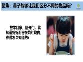 2025年秋教科版一年級科學(xué)上冊2-4《氣味告訴我們》（課件）