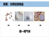 2025年秋教科版一年級科學(xué)上冊2-4《氣味告訴我們》（課件）