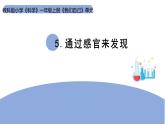 2025年秋教科版一年級科學(xué)上冊2-5《通過感官來發(fā)現(xiàn)》（課件）