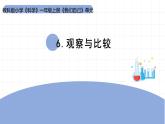 2025年秋教科版一年級(jí)科學(xué)上冊(cè)2-6《觀察與比較》（課件）
