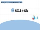 2025年秋教科版一年級科學上冊1-6《校園里的植物》（課件）