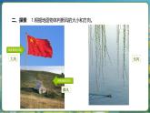 教科版（2024）科學(xué)三年級(jí)上冊(cè) 1.5 觀測(cè)風(fēng)（課件+教案）