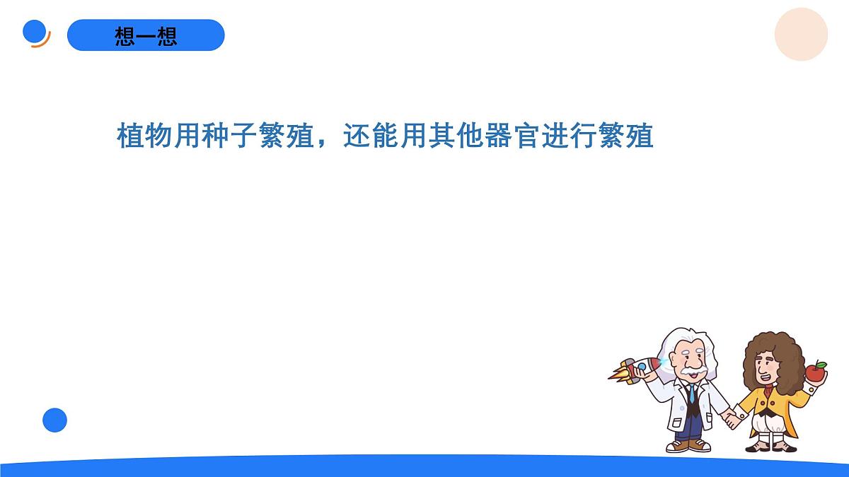 2025年秋人教鄂教版四年级科学上册 5.不用种子怎么繁殖（课件）第3页