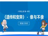2025年秋青島版六年級科學(xué)上冊 2.《像與不像》教學(xué)課件