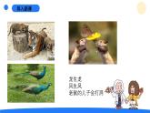 2025年秋青島版六年級科學(xué)上冊 2.《像與不像》教學(xué)課件