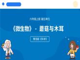 2025年秋青島版六年級科學(xué)上冊 5.《蘑菇與木耳》教學(xué)課件