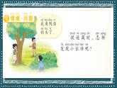 青島版（2024年）小學(xué)科學(xué)一年級上冊4.看一看 課件
