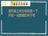 青島版（2024年）小學(xué)科學(xué)一年級上冊4.看一看 課件