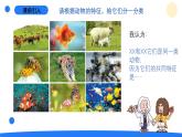 2025年大象版三年級(jí)科學(xué)上冊(cè) 2.3動(dòng)物的分類(lèi)（課件）