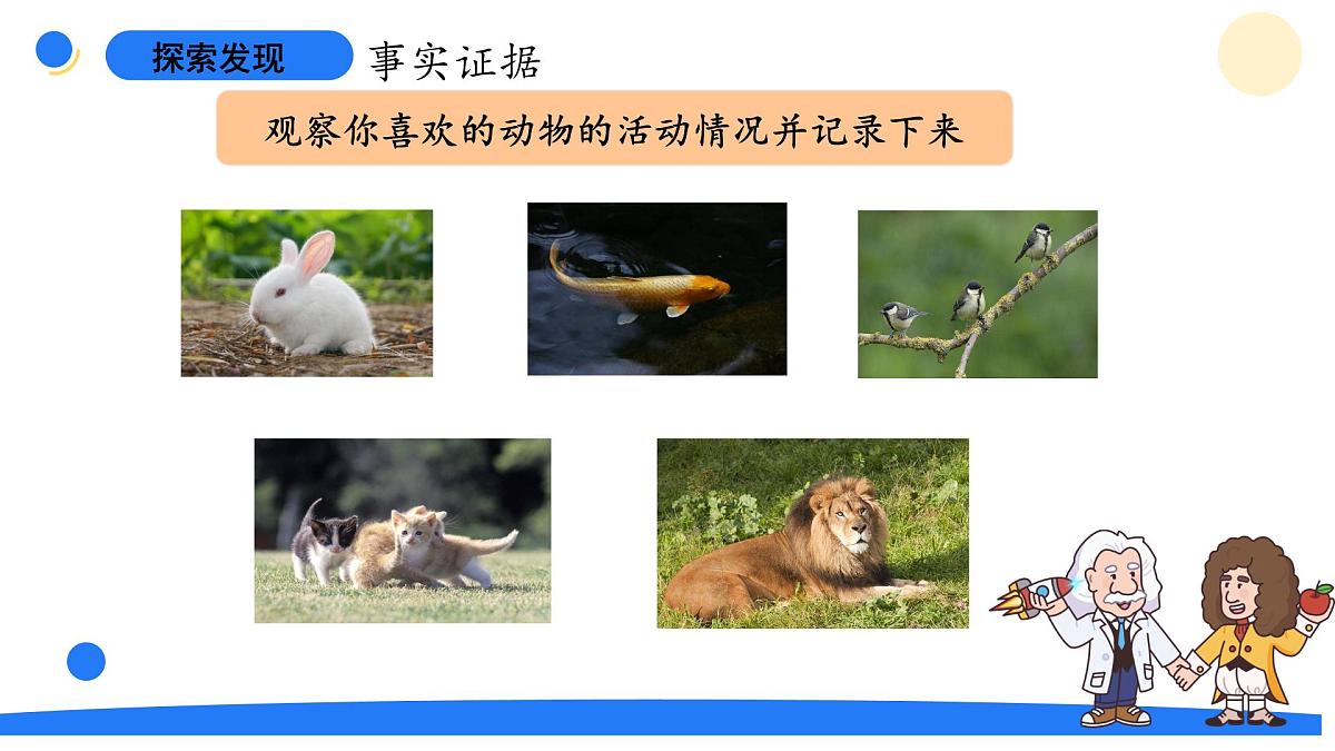 2025年大象版二年级科学上册 4.1参观动物园（课件）第6页