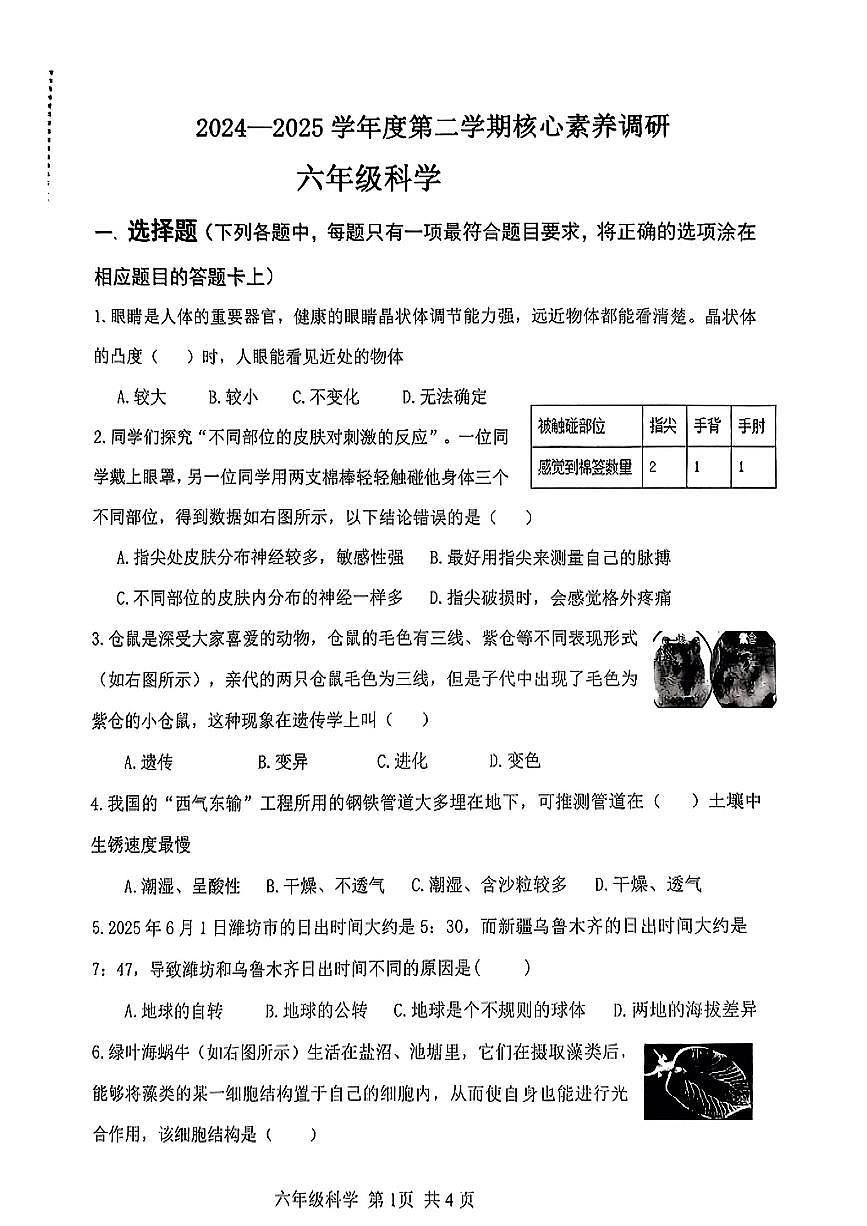 山东省潍坊市奎文区2024-2025学年六年级下科学期末试卷第1页