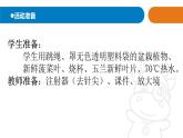 2025年秋青島版三年級科學(xué)上冊 8《葉的蒸騰作用》教學(xué)課件