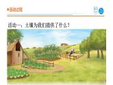 2025年秋青島版三年級科學上冊 11.《保護土壤》教學課件