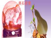 2025年秋青島版三年級科學(xué)上冊 12.《認(rèn)識巖石》教學(xué)課件