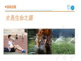 2025年秋青島版三年級(jí)科學(xué)上冊(cè) 21《淡水資源》教學(xué)課件1