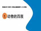 2025年秋青島版三年級科學上冊 1.《動物的四肢》教學課件1
