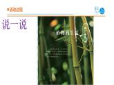 2025年秋青島版三年級(jí)科學(xué)上冊(cè) 5《植物的“身體”》教學(xué)課件