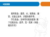 2025年秋青島版三年級科學(xué)上冊 6《植物的根》教學(xué)課件1