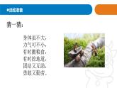 2025年秋青島版四年級科學(xué)上冊 1.《螞蟻》教學(xué)課件