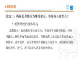 2025年秋青島版四年級科學(xué)上冊 1.《螞蟻》教學(xué)課件