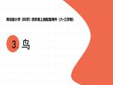 2025年秋青島版四年級(jí)科學(xué)上冊(cè) 3.《鳥(niǎo)》教學(xué)課件