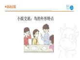 2025年秋青島版四年級(jí)科學(xué)上冊(cè) 3.《鳥(niǎo)》教學(xué)課件