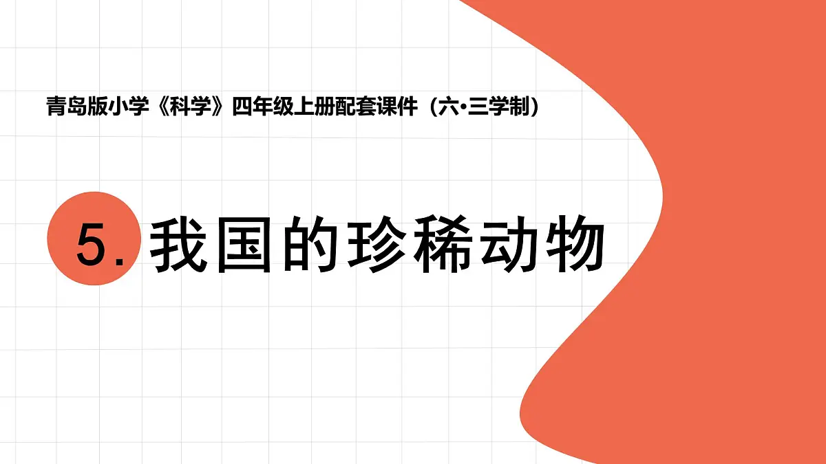2025年秋青岛版四年级科学上册 5.《我国的珍稀动物》教学课件第1页