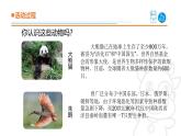 2025年秋青島版四年級(jí)科學(xué)上冊(cè) 5.《我國(guó)的珍稀動(dòng)物》教學(xué)課件