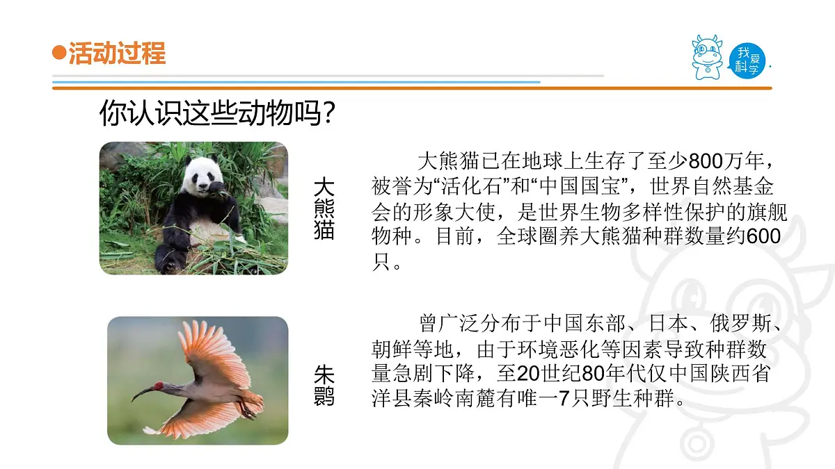 2025年秋青岛版四年级科学上册 5.《我国的珍稀动物》教学课件第3页