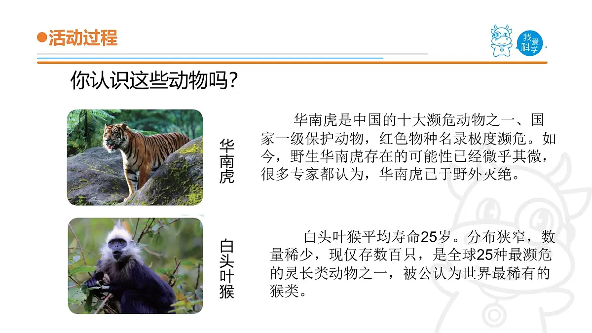 2025年秋青岛版四年级科学上册 5.《我国的珍稀动物》教学课件第4页