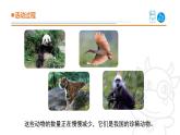2025年秋青島版四年級(jí)科學(xué)上冊(cè) 5.《我國(guó)的珍稀動(dòng)物》教學(xué)課件