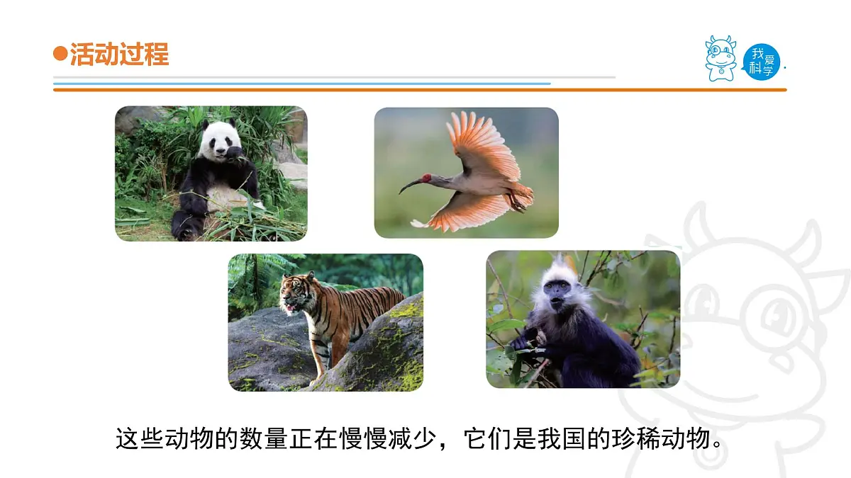 2025年秋青岛版四年级科学上册 5.《我国的珍稀动物》教学课件第5页