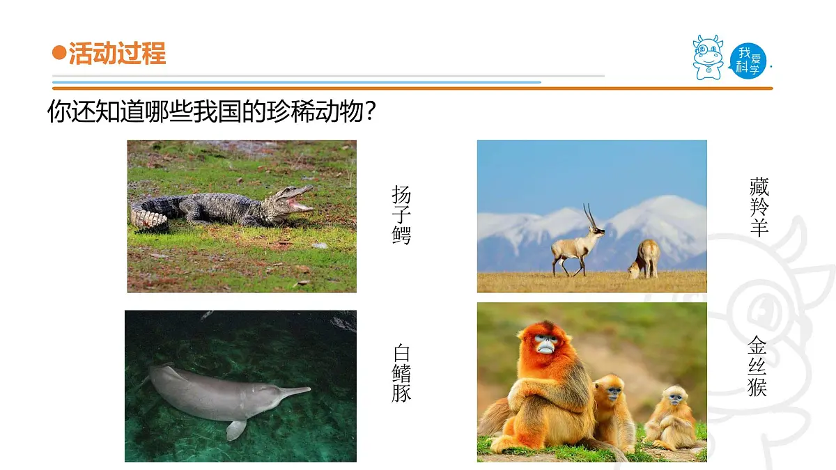 2025年秋青岛版四年级科学上册 5.《我国的珍稀动物》教学课件第6页